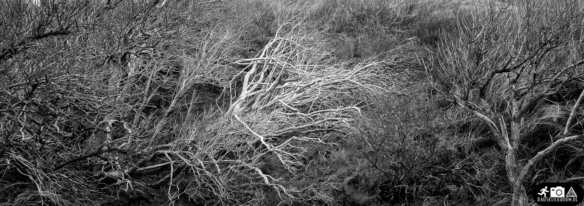 Norderney-6